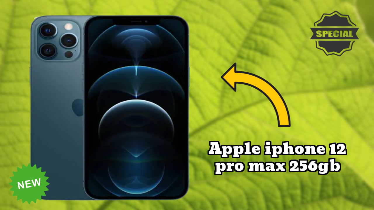 Apple IPhone 12 Pro Max 256GB Camera Review: 12 MP + 12 MP + 12 MP Rear Camera Photo Test
